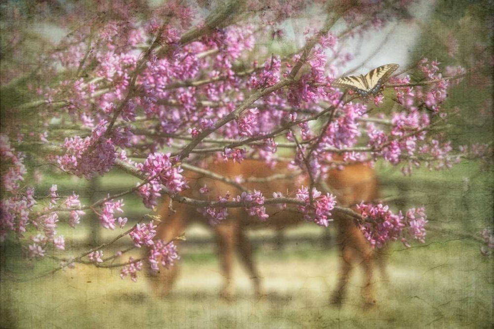 Spring has Sprung