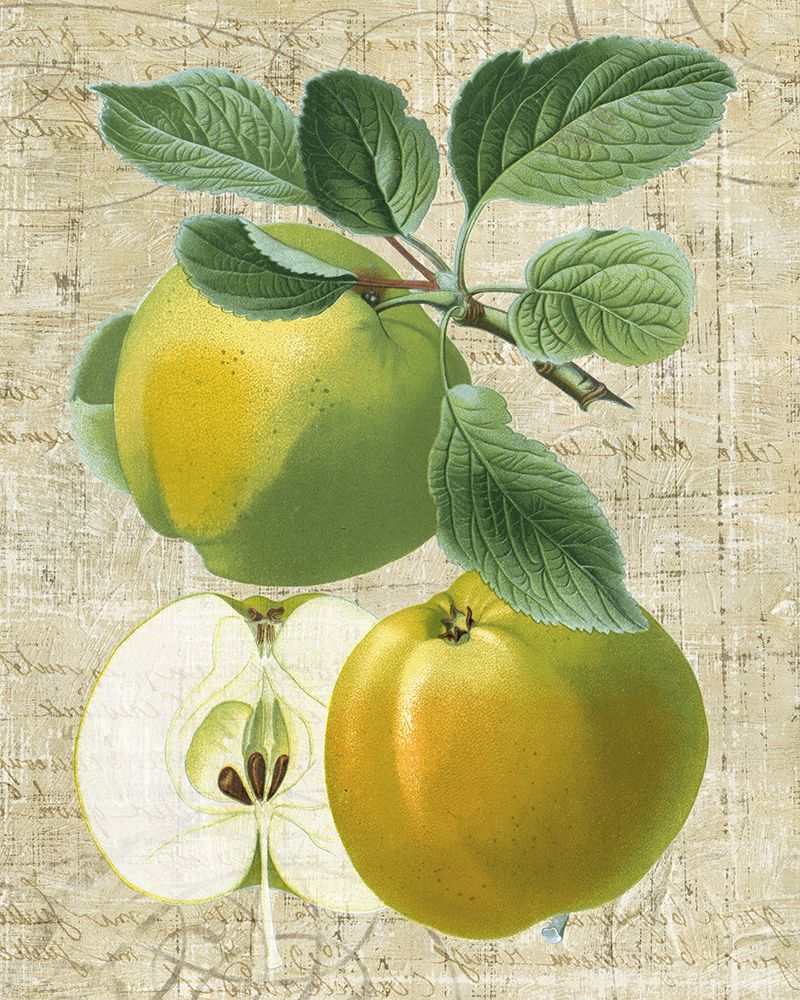 Orchard Medley I