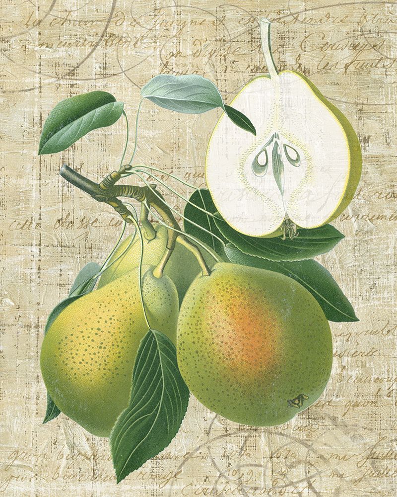 Orchard Medley II