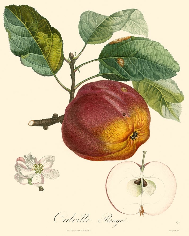 Bessa Apples