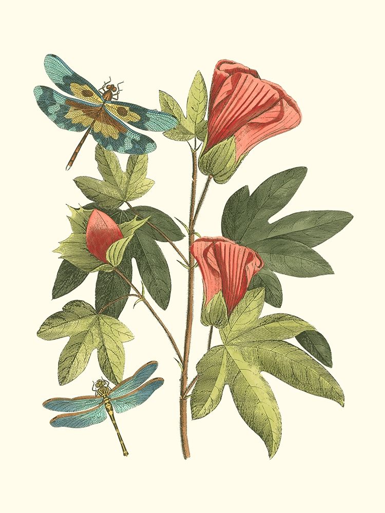 Midsummer Floral III