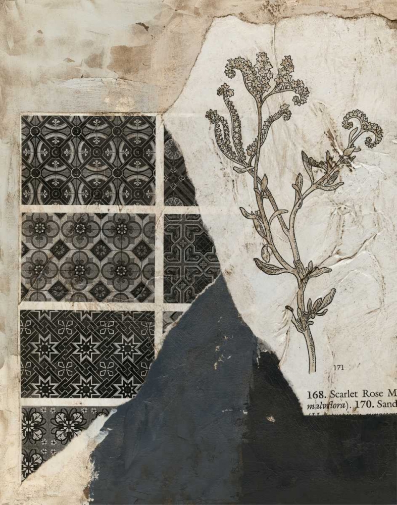 Non-Embellished Fragmented Collage II