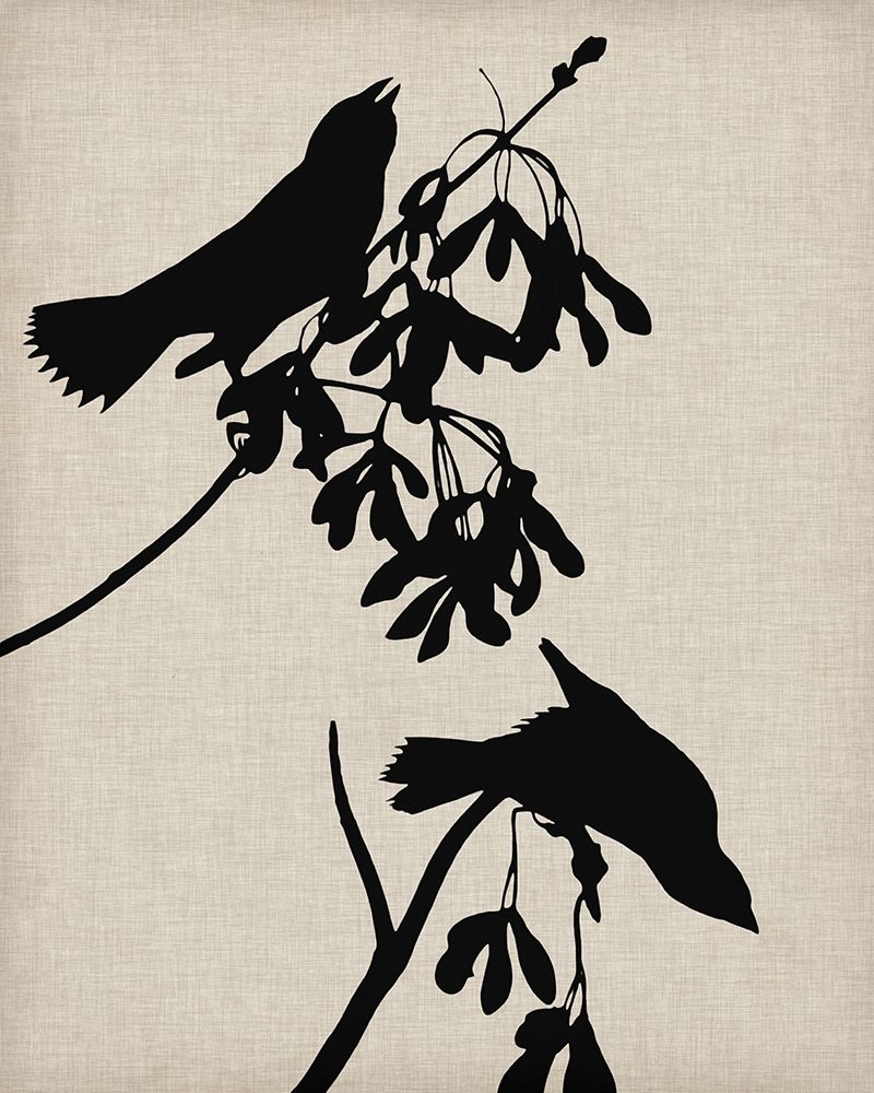 Audubon Silhouette VI