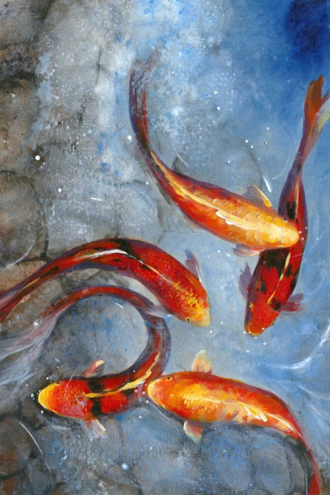 Graceful Koi I