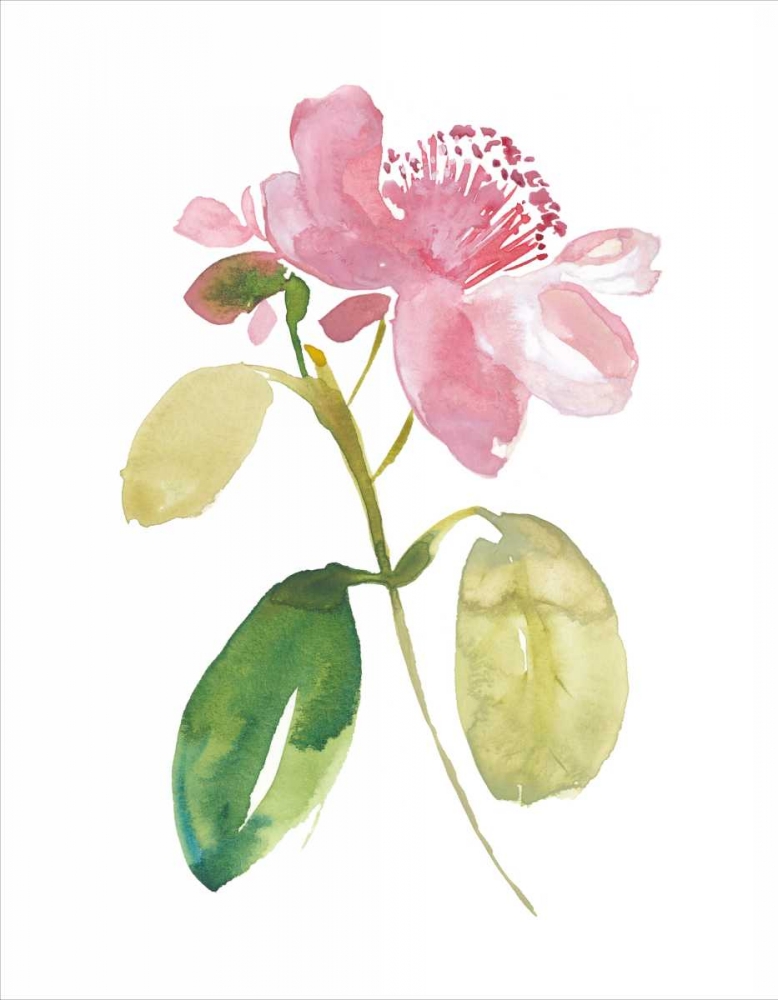 Watercolor Garden I
