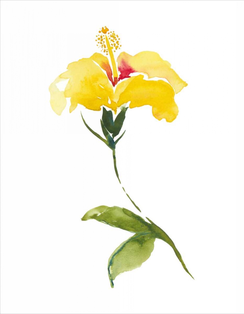 Watercolor Garden II