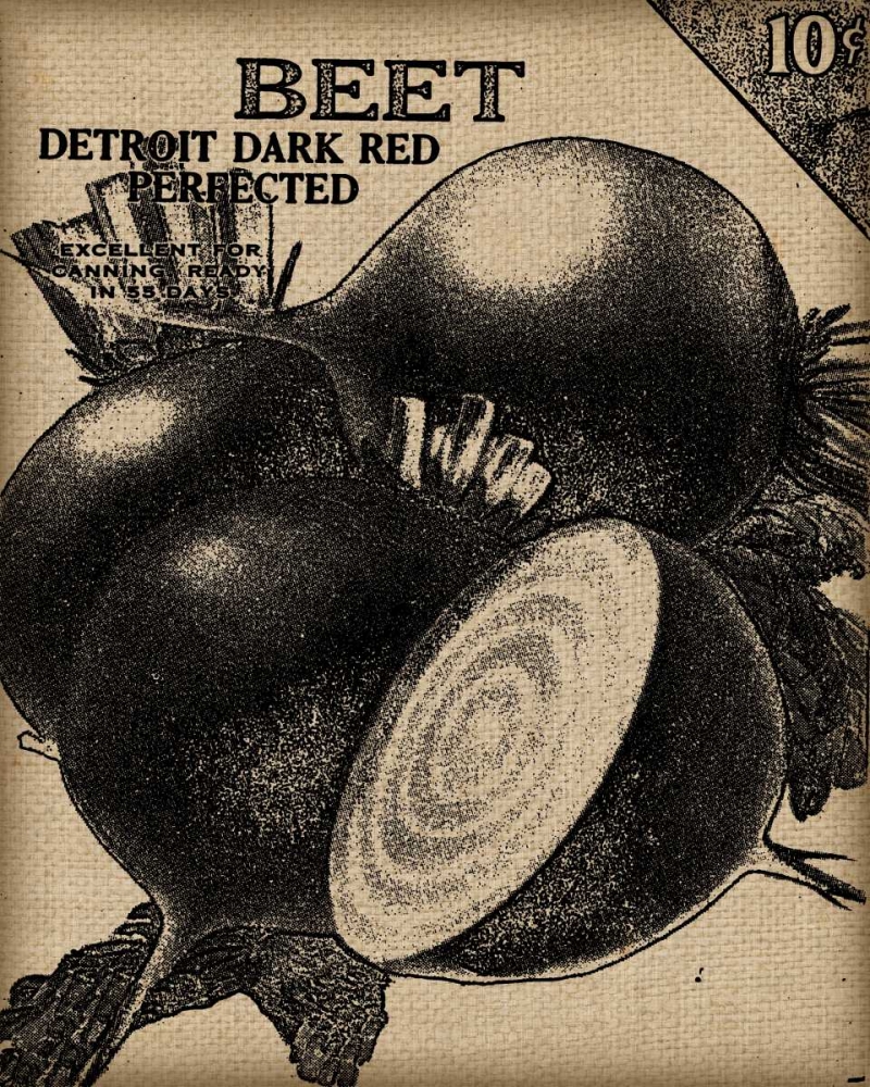 Vintage Seed Pack III
