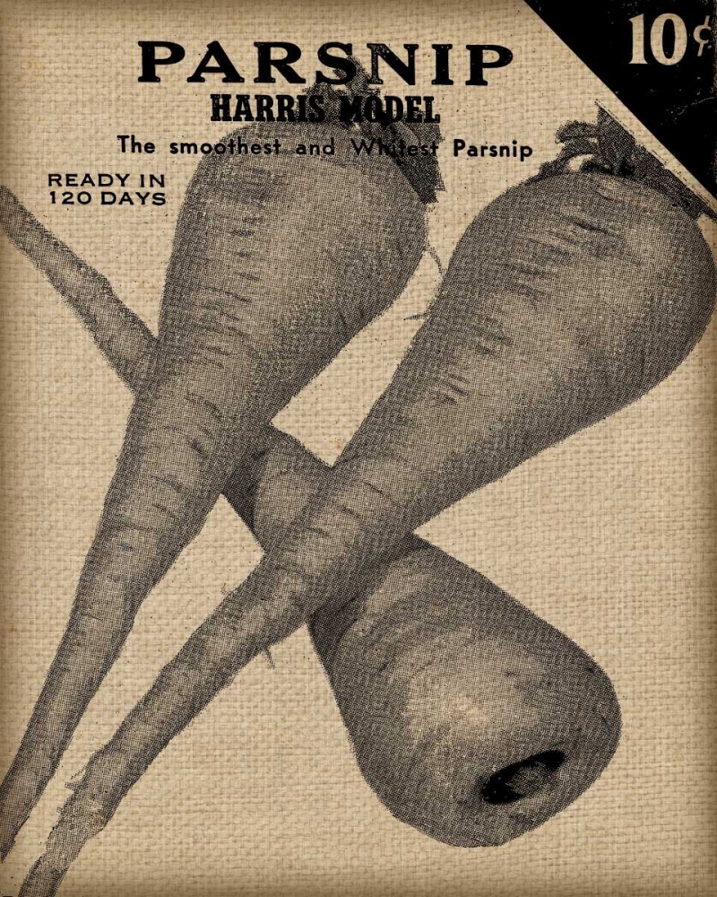 Vintage Seed Pack IV