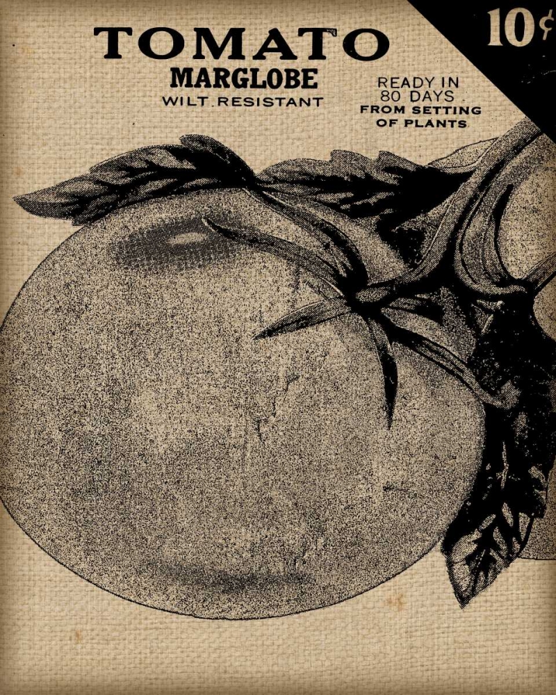 Vintage Seed Pack V