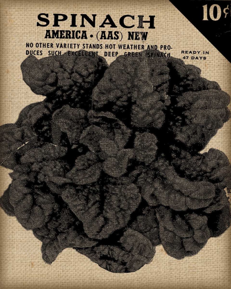 Vintage Seed Pack VI
