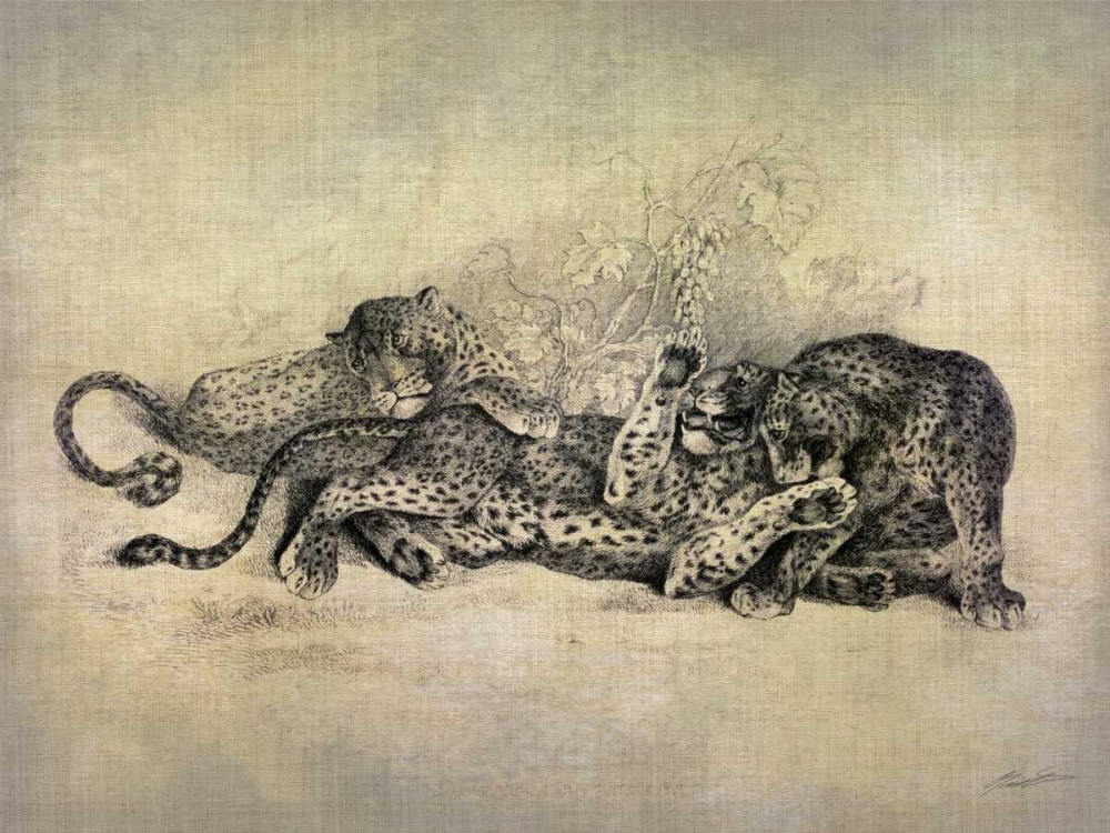 Big Cats I