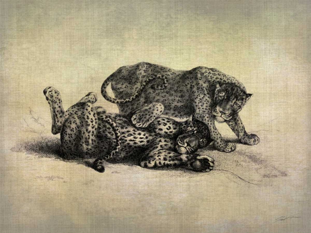 Big Cats II