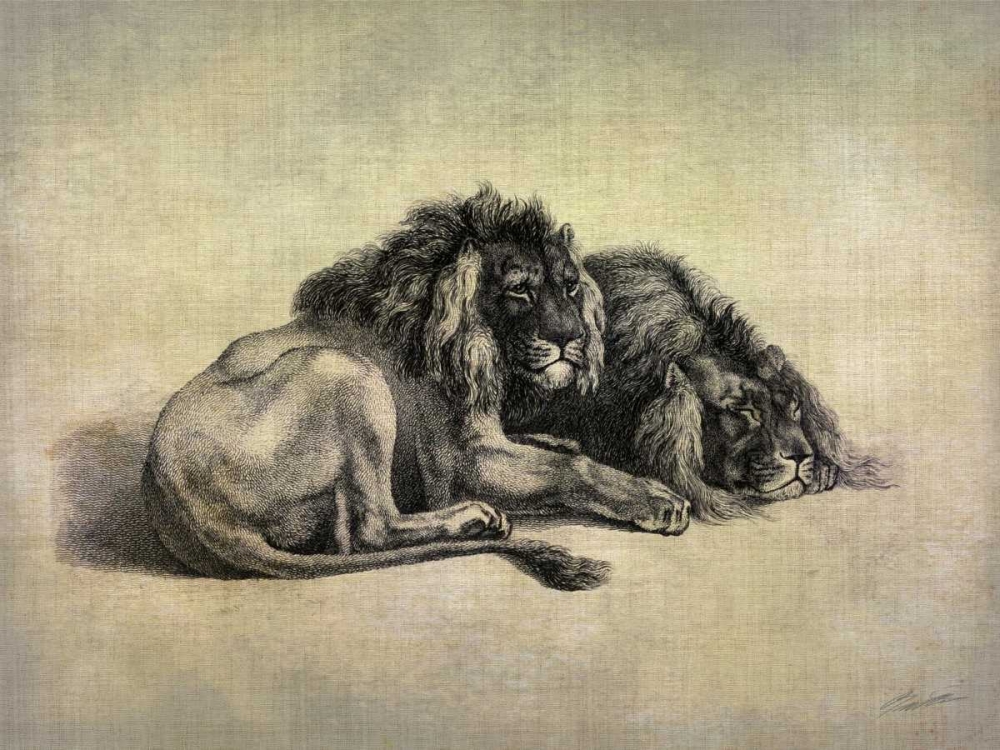 Big Cats IV