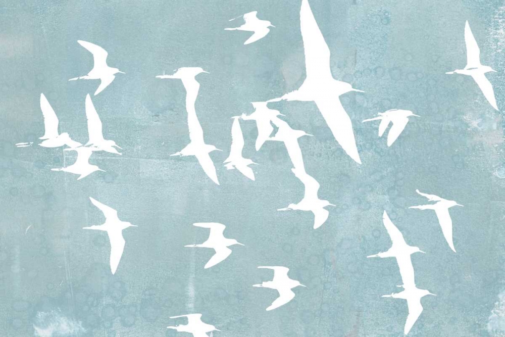 Silhouettes in Flight II