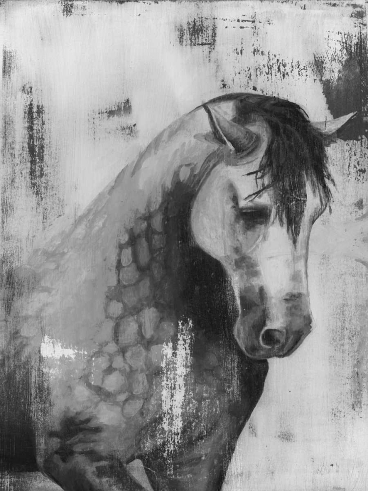 Dappled Grey II