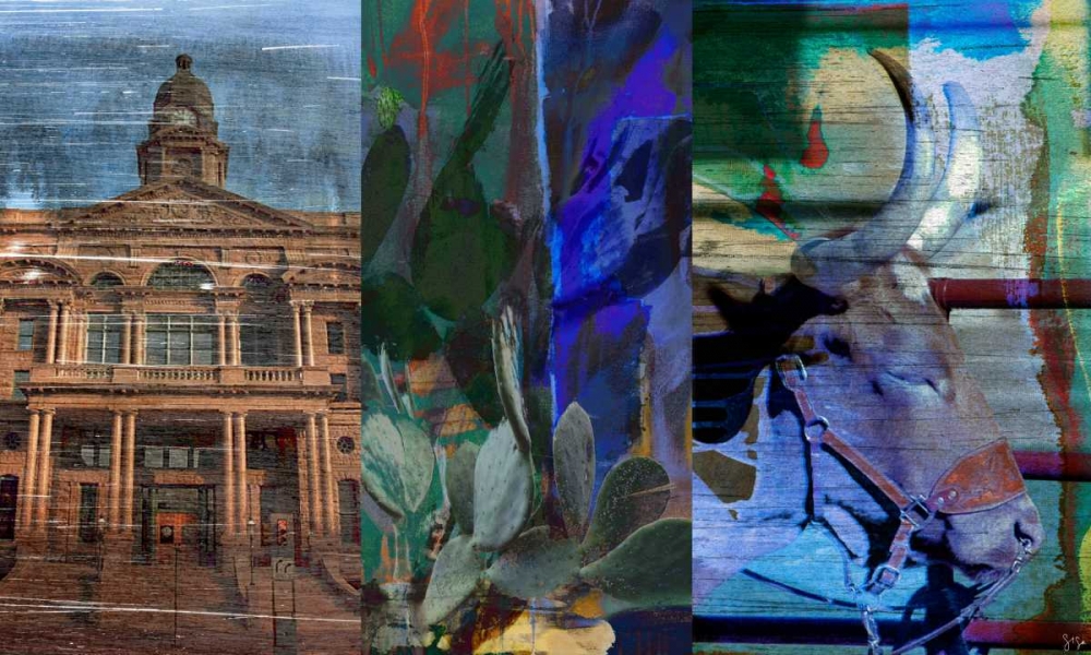 Texas Steer Collage