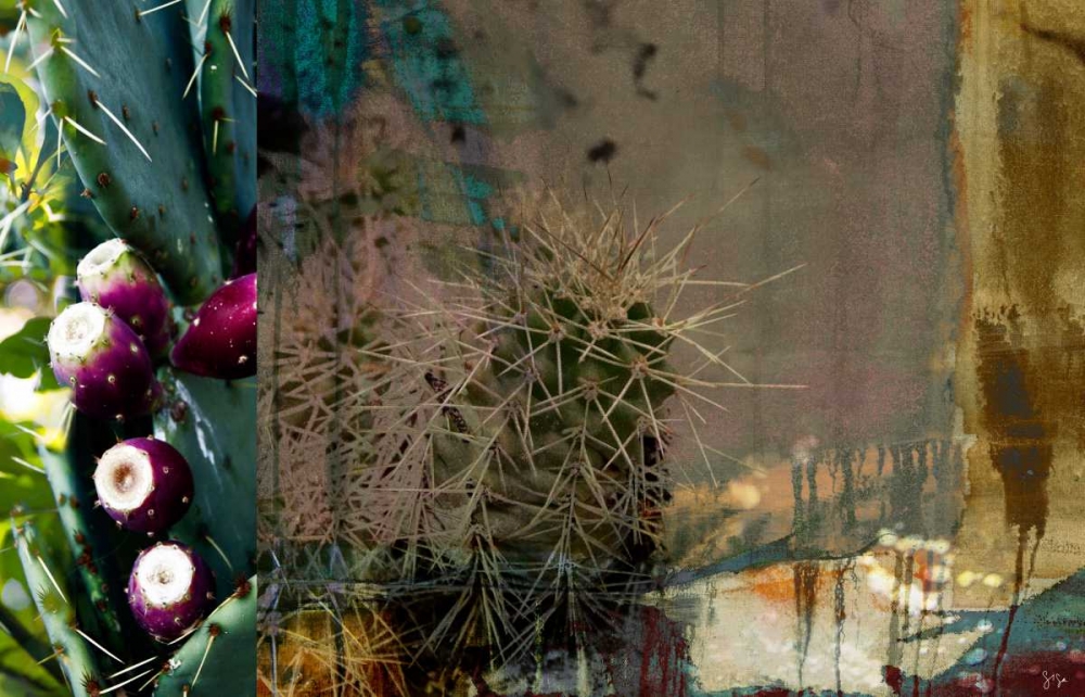 Texas Cactus Collage