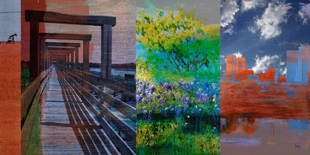 Fort Worth Collage I