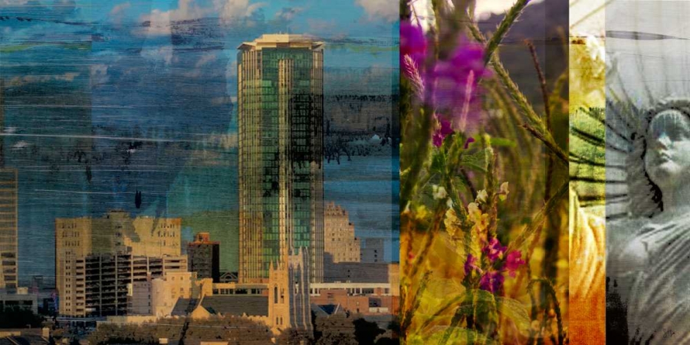 Fort Worth Collage II