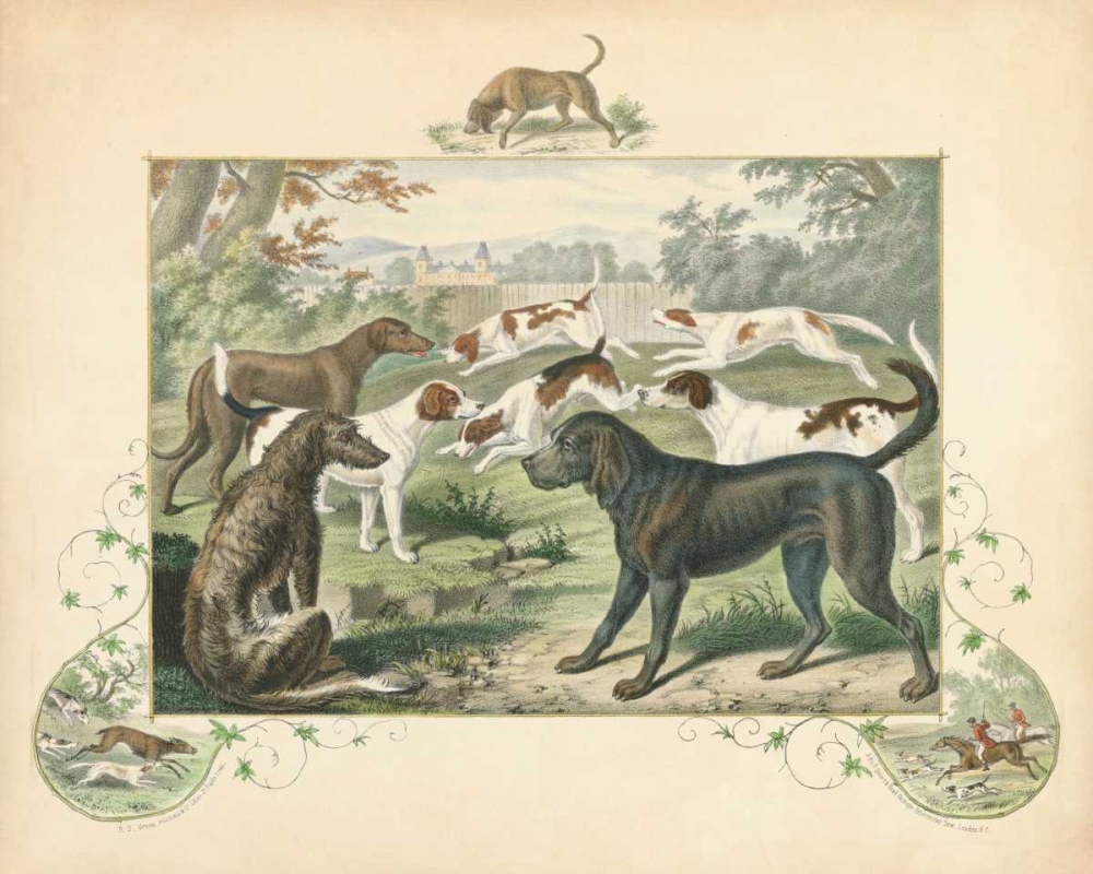 A Group of Hounds