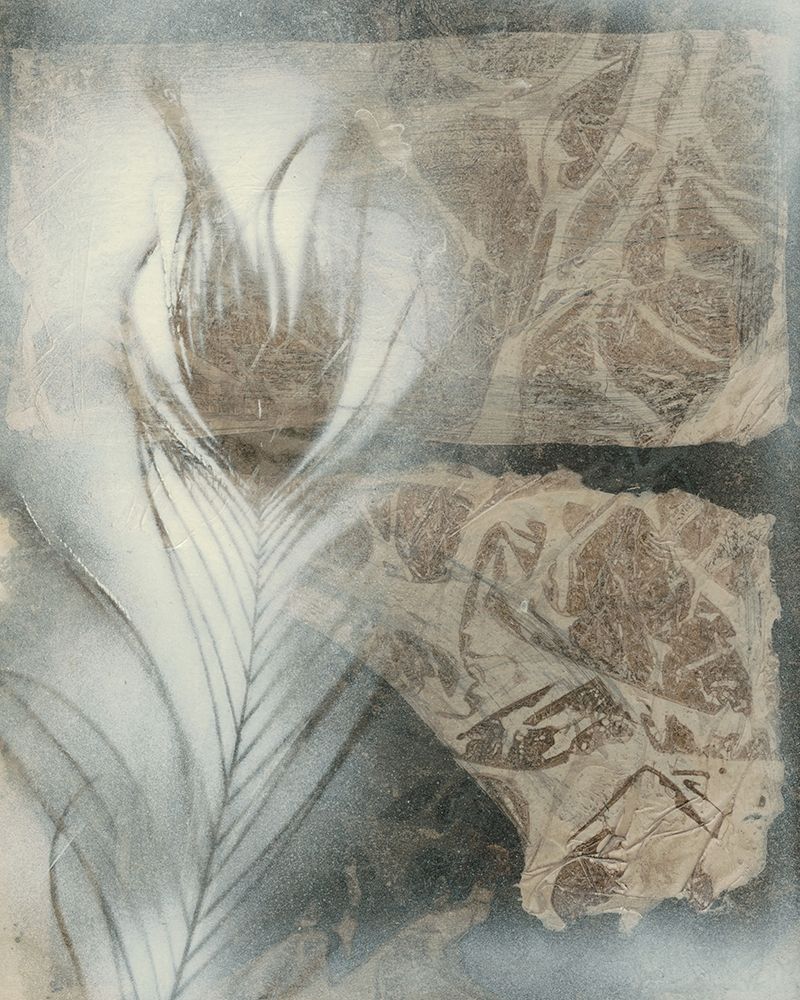 Feather and Stone II