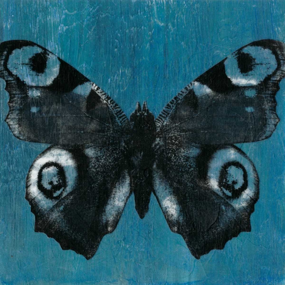 Chambray Butterflies I
