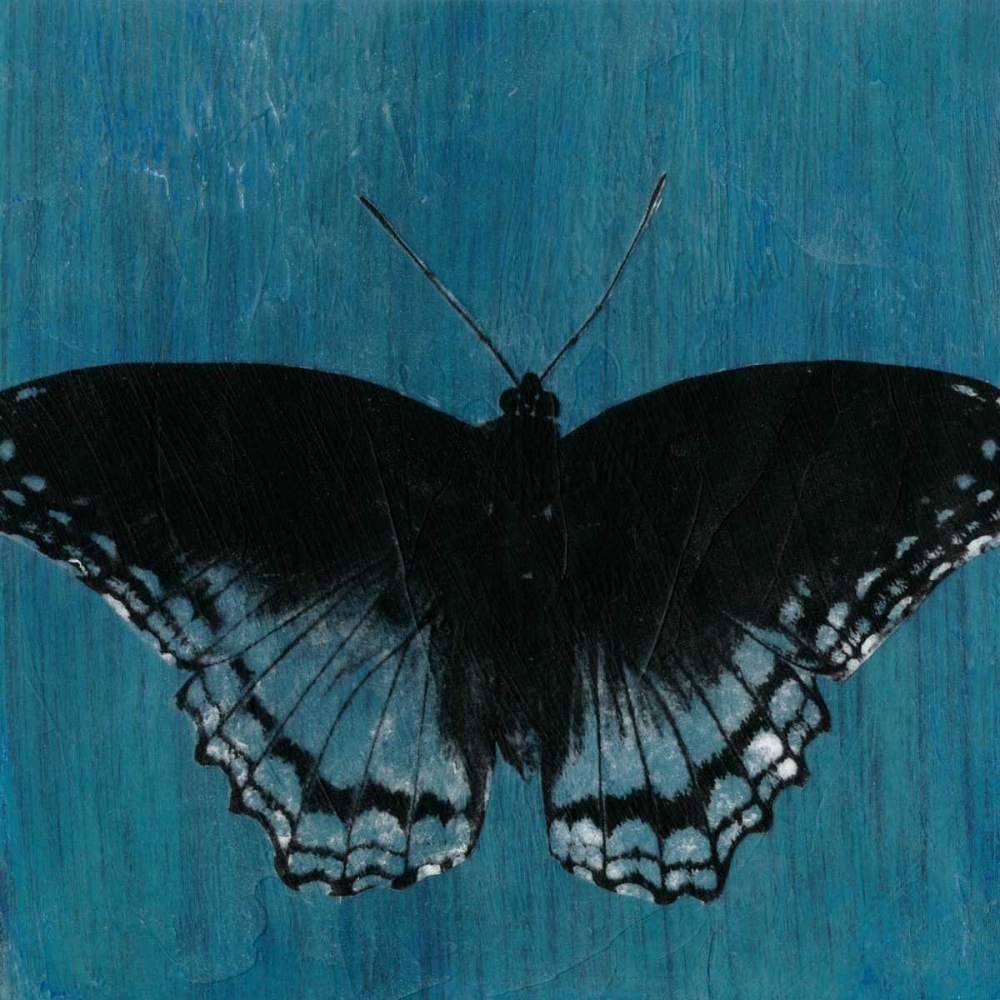 Chambray Butterflies II