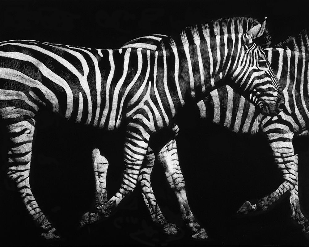 Op Art