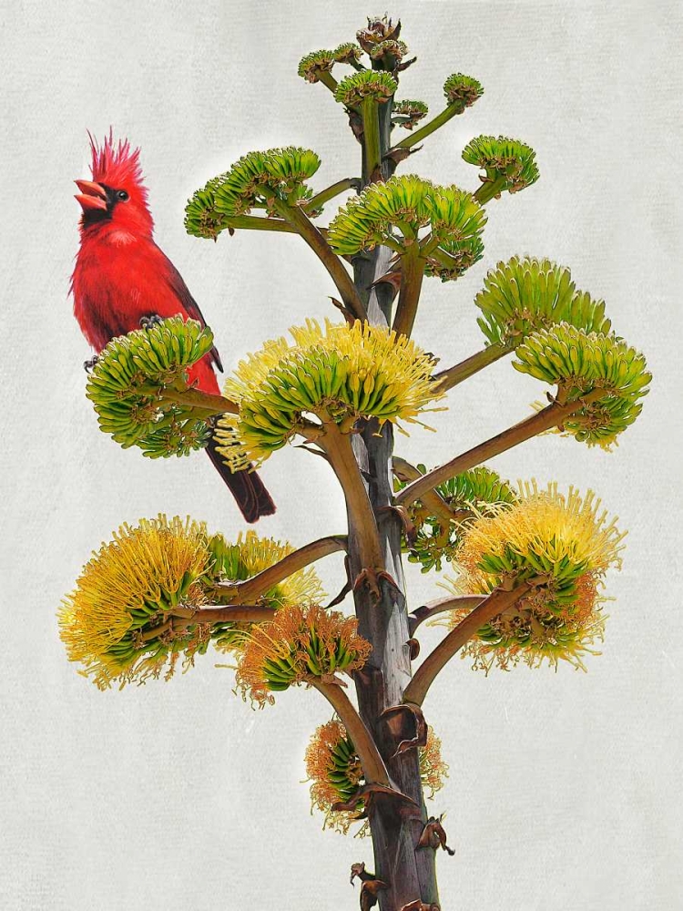 Avian Tropics I