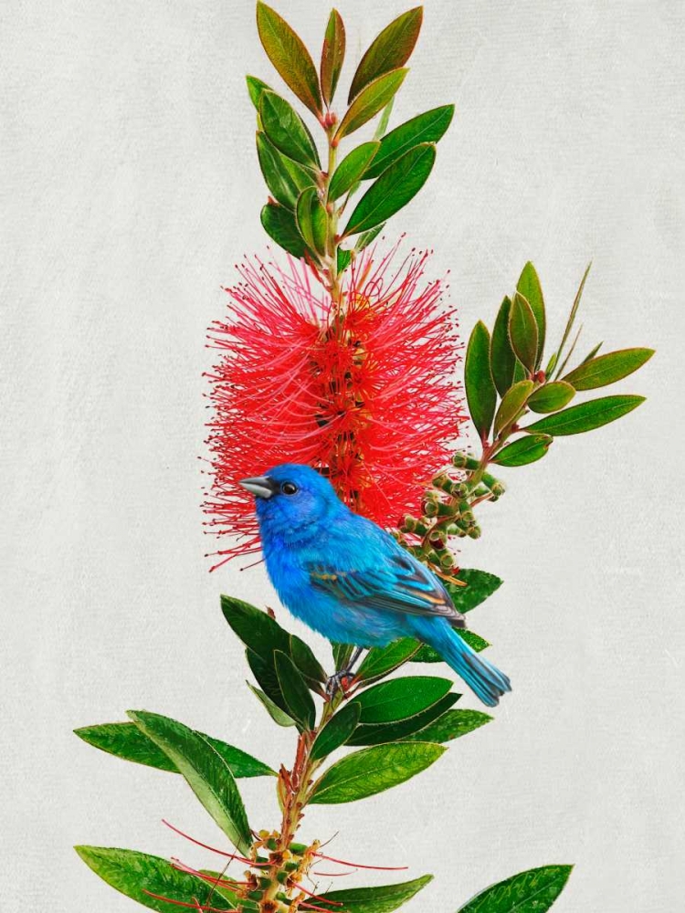 Avian Tropics III