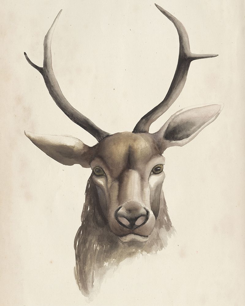 Watercolor Animal Study I