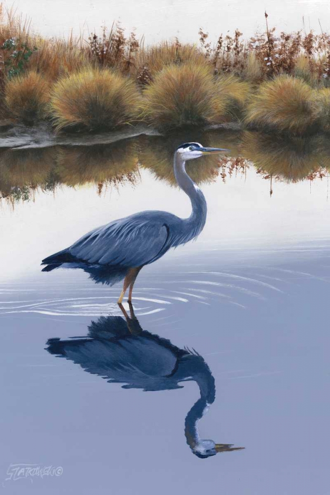 Blackwater Reflections I