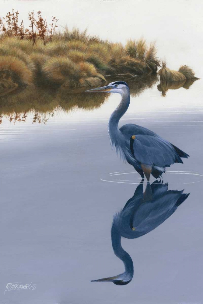 Blackwater Reflections II