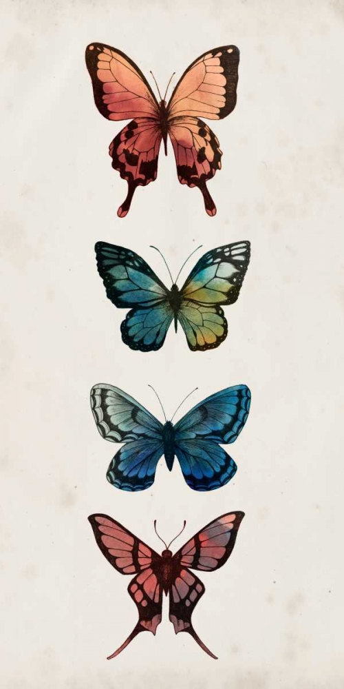 Fairy Study I