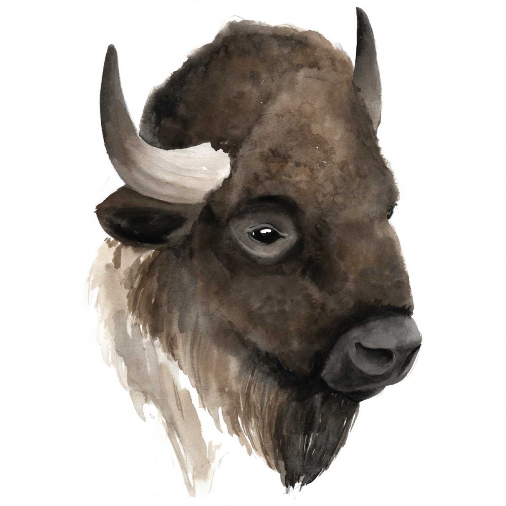 Western Animal Study IV