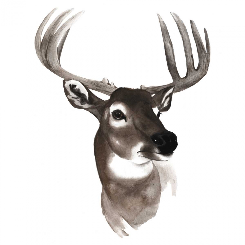 Western Animal Study VI