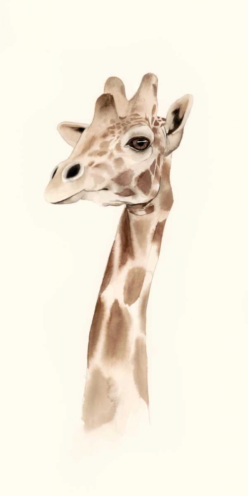 Safari Portrait III