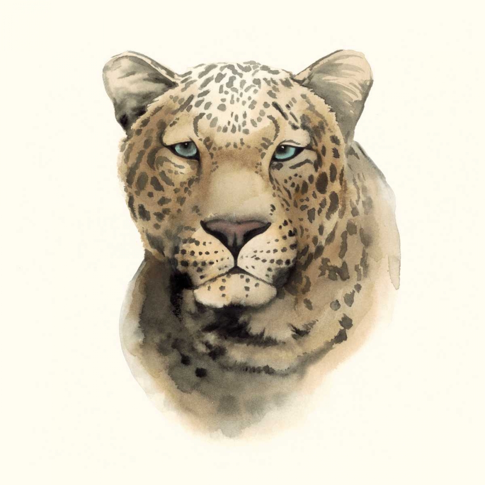 Safari Cat I
