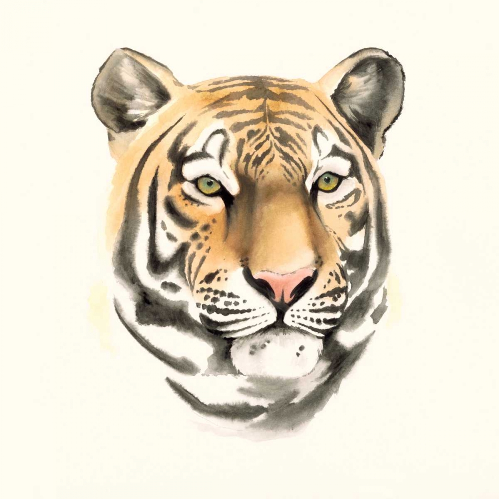 Safari Cat III