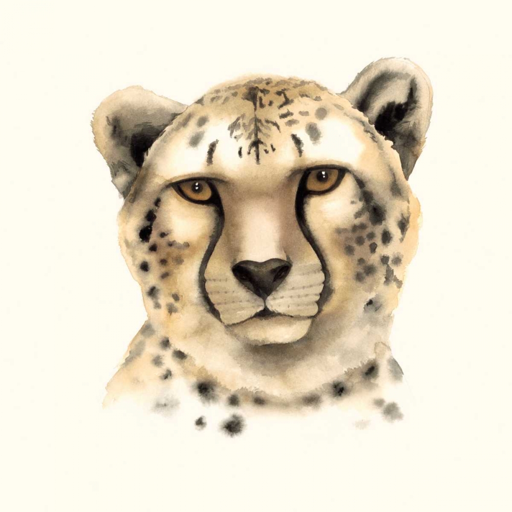 Safari Cat IV