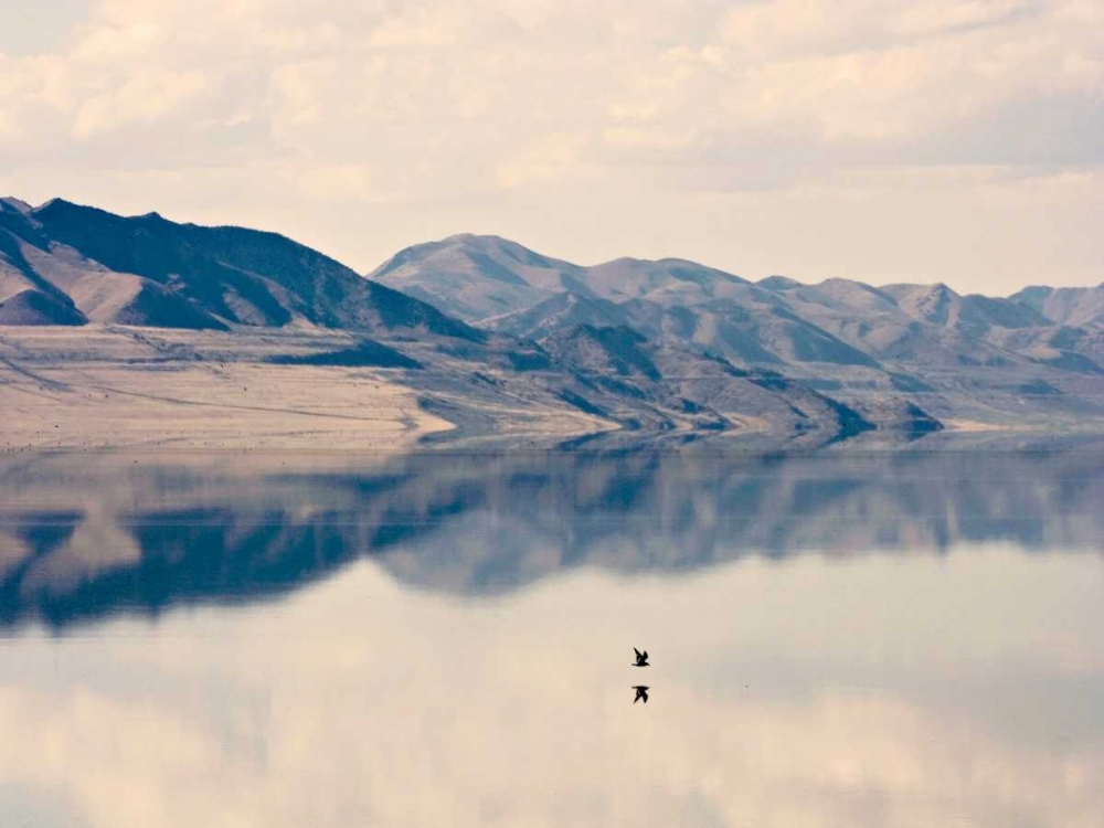 Reflection I