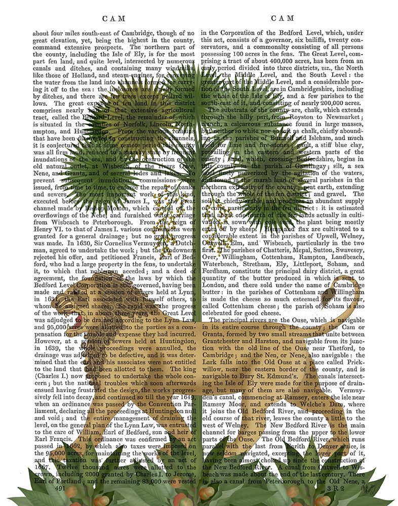 Lion Under Palm, Animalia Book Print