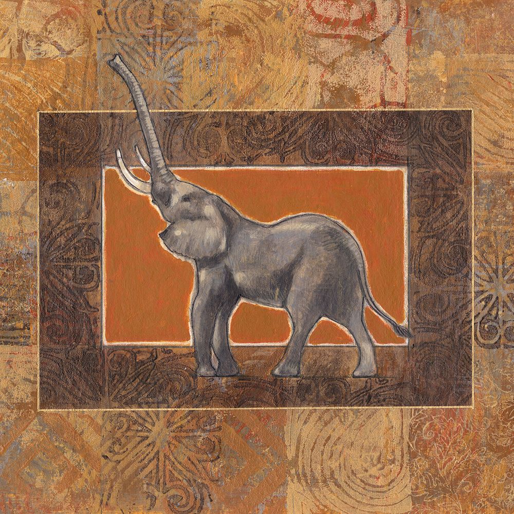 Grasslands Collection E