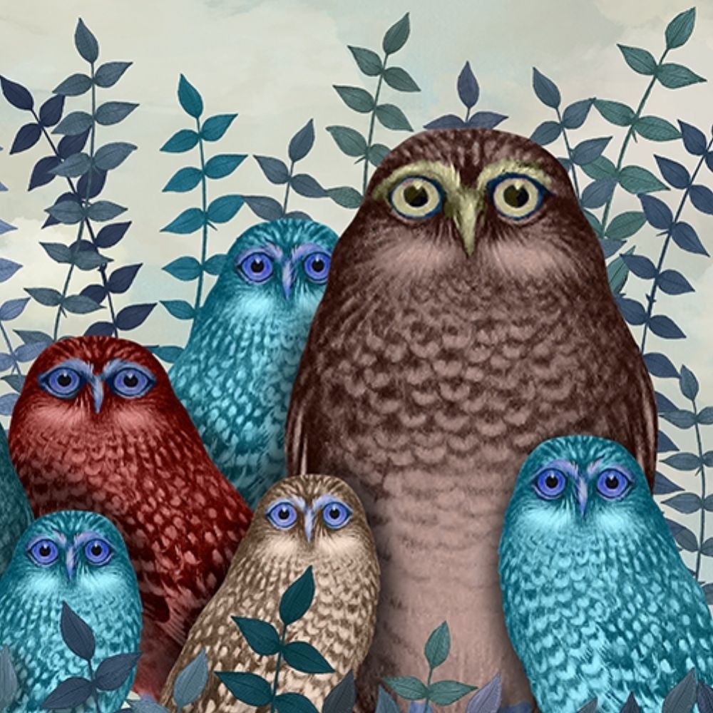 Fab Funky Owl Fun Collection D