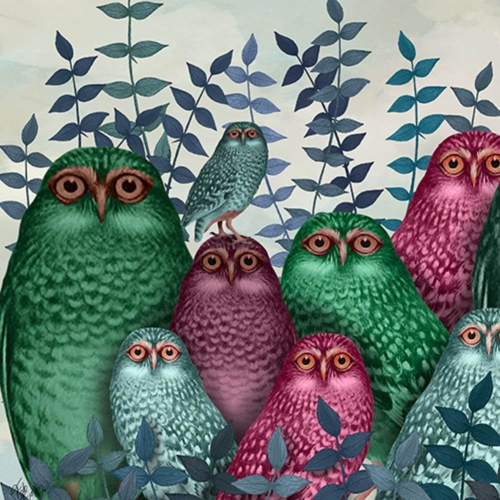 Fab Funky Owl Fun Collection F