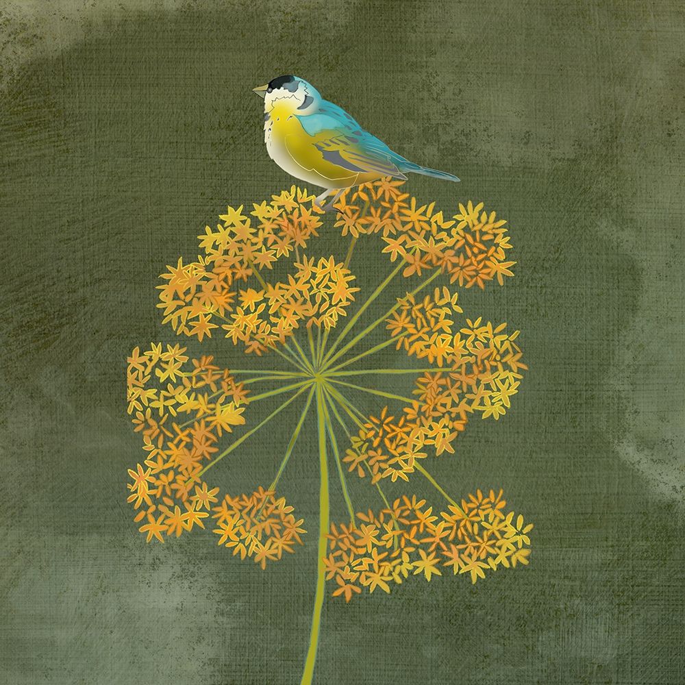 Birding Collection E