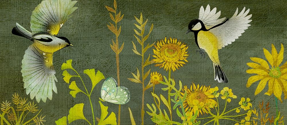Birding Collection H