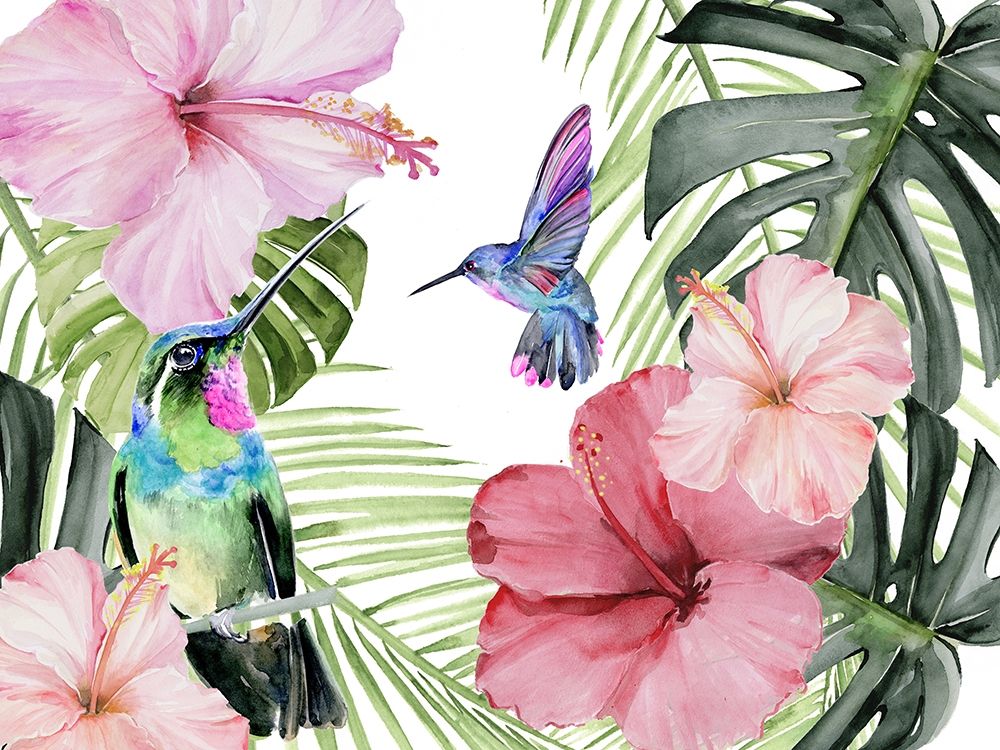 Hibiscus And Hummingbird Collection A