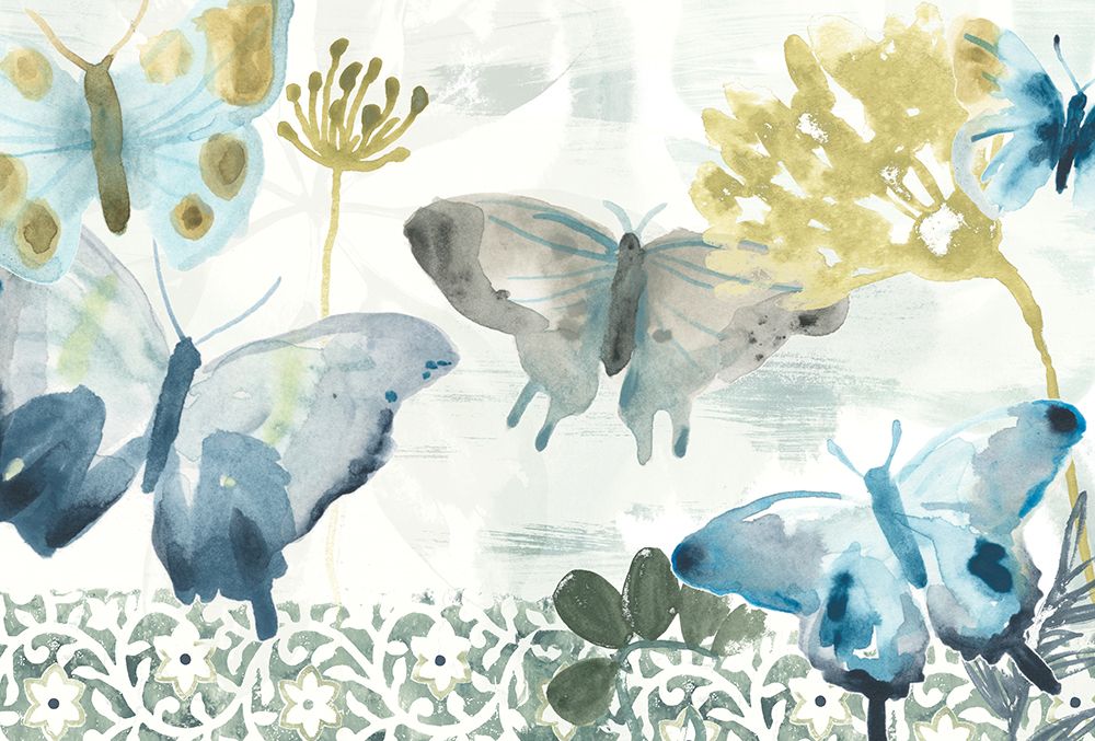Butterfly Concerto Collection A