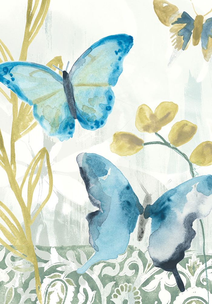 Butterfly Concerto Collection B